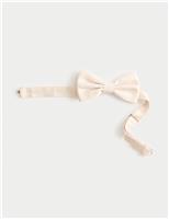 Textured Silk Rich Bow Tie