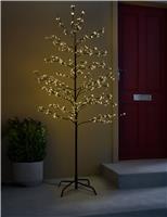 6ft Cluster Twig Tree