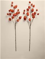 2pk Artificial Chinese Lantern Single Stems