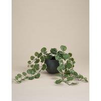 Artificial Trailing Eucalyptus in Ceramic Pot