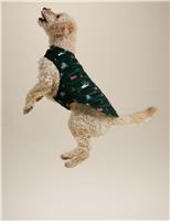 Spencer Bear Dog Jumper