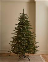 7ft Pre-lit Grand Fir Christmas Tree