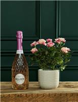 M&S Flower Market Mother's Day Pia Rose with Prosecco
