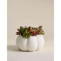 Artificial Succulents in Concrete Pot