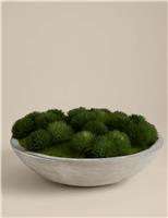 Artificial Moss in Large Concrete Bowl