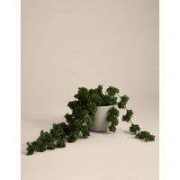 Artificial Trailing Moss in Concrete Pot