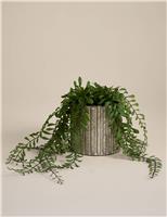 Artificial Trailing Fern in Ceramic Pot