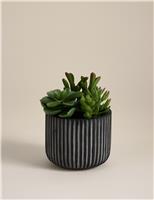 Artificial Succulents in Ridged Cement Pot