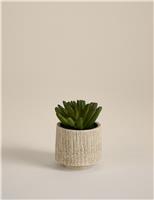 Artificial Mini Succulent in Textured Cement Pot