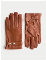 Leather Perforated Gloves