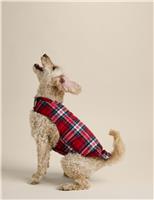 Check Dog Jumper