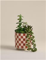 Artificial Succulent Family in Checked Pot