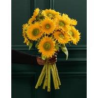 M&S Flower Market Teddy Sunflower Bouquet
