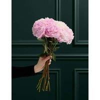 M&S Flower Market Seasonal Peony Bouquet