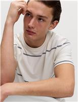 M&S Pure Cotton Striped Relaxed Crew Neck T-Shirt Ecru