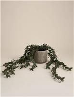 Artificial Trailing Boxwood in Ceramic Pot