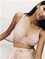 Amelia Lace Natural Lift Wired Full Cup Bra (F+)