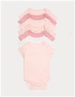 7 Pack Pure Cotton Bow Bodysuits (0-3 Yrs)