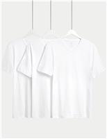 3 Pack Pure Cotton V-Neck T-Shirts