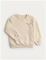 Cotton Rich Graphic Sweatshirt (2-8 Yrs)