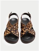 Suede Animal Print Buckle Flat Sandals