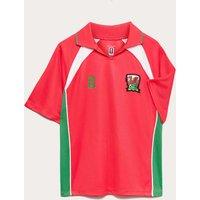 M&S FIFA Wales Football T-Shirt (2-16 Yrs) Multi
