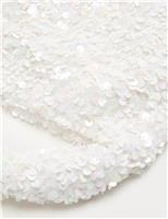 Sequin Hand Held Bag