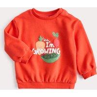 M&S Cotton Rich I Am Growing Sweatshirt (0-5 Yrs) Red