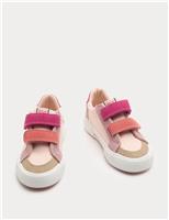 Kids Low Top Canvas Riptape Trainers (4 Small - 2 Large)