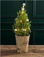 Natural Decorated Christmas Tree in Birch Pot