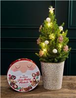 Gold Decorated Christmas Tree with Merry Munch Tin