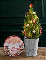White Decorated Christmas Tree with Merry Munch Tin