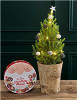 Natural Decorated Christmas Tree with Merry Munch Tin