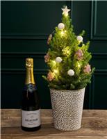 Gold Decorated Christmas Tree with Champagne
