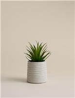 Artificial Mini Air Plant in Ceramic Pot