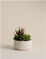 Artificial Succulent in Ceramic Pot