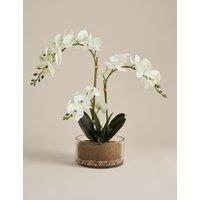 M&S Artificial Large Orchid in Glass Pot White