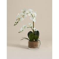 M&S Artificial Medium Orchid in Glass Pot White