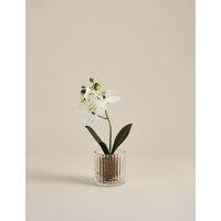 M&S Artificial Small Orchid in Glass Pot White
