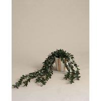 M&S Artificial Trailing Boxwood in Stripe Ceramic Pot Green