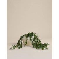 M&S Artificial String of Hearts in Cement Pot Green