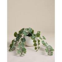 M&S Artificial Trailing Eucalyptus in Pot Green