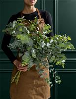 Eucalyptus Abundance Bouquet