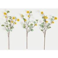 M&S Set of 3 Eucalyptus Erythrocorys Single Stems Orange