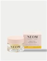 Great Day Wonder Balm 12 g