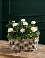 Mixed Rose in Kubu Basket