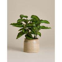 M&S Artificial Variated Leaf Plant in Ceramic Pot Natural