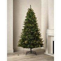 M&S 8ft Pre-Lit Monterey and Scots Pine Christmas Tree Green