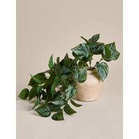 M&S Artificial Trailing Pothos Vase Natural