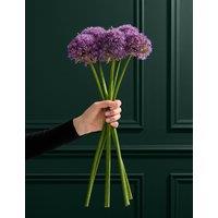 M&S Flower Market King Allium Bouquet